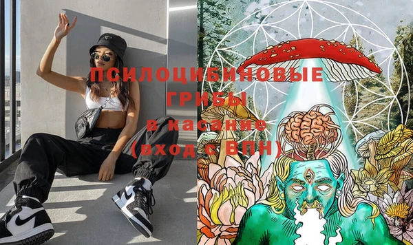 бутират Горняк