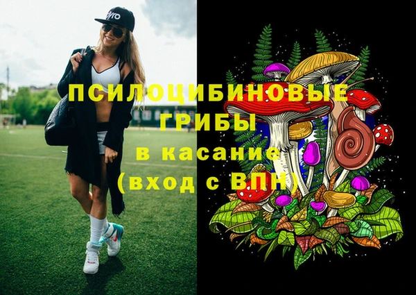 сатива Вязники
